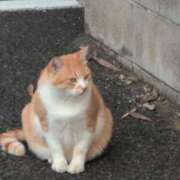 ヒメ日記 2025/10/03 08:28 投稿 さつき 熟女の風俗最終章 沼津店