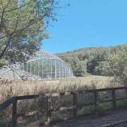 ヒメ日記 2025/10/03 12:28 投稿 さつき 熟女の風俗最終章 沼津店