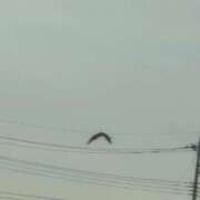 ヒメ日記 2025/10/03 17:19 投稿 さつき 熟女の風俗最終章 沼津店