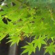 ヒメ日記 2025/10/04 09:02 投稿 さつき 熟女の風俗最終章 沼津店