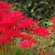 ヒメ日記 2025/10/04 09:28 投稿 さつき 熟女の風俗最終章 沼津店