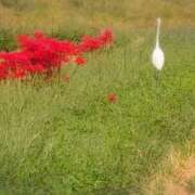 ヒメ日記 2025/10/04 18:09 投稿 さつき 熟女の風俗最終章 沼津店