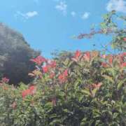 ヒメ日記 2025/10/05 15:18 投稿 さつき 熟女の風俗最終章 沼津店