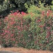 ヒメ日記 2025/10/06 10:04 投稿 さつき 熟女の風俗最終章 沼津店