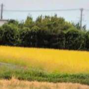 ヒメ日記 2025/10/06 17:38 投稿 さつき 熟女の風俗最終章 沼津店