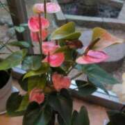 ヒメ日記 2025/10/07 21:28 投稿 さつき 熟女の風俗最終章 沼津店