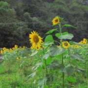 ヒメ日記 2025/10/07 21:48 投稿 さつき 熟女の風俗最終章 沼津店