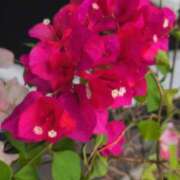 ヒメ日記 2025/10/08 07:16 投稿 さつき 熟女の風俗最終章 沼津店