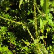 ヒメ日記 2025/10/08 19:58 投稿 さつき 熟女の風俗最終章 沼津店