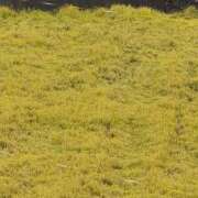 ヒメ日記 2025/10/09 14:18 投稿 さつき 熟女の風俗最終章 沼津店