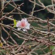 ヒメ日記 2025/10/10 16:30 投稿 さつき 熟女の風俗最終章 沼津店