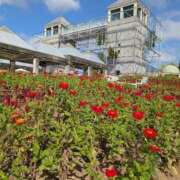 ヒメ日記 2025/10/12 08:38 投稿 さつき 熟女の風俗最終章 沼津店