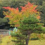 ヒメ日記 2025/10/14 09:41 投稿 さつき 熟女の風俗最終章 沼津店