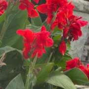 ヒメ日記 2025/10/15 07:48 投稿 さつき 熟女の風俗最終章 沼津店