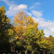 ヒメ日記 2025/10/15 18:49 投稿 さつき 熟女の風俗最終章 沼津店