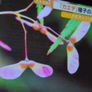 ヒメ日記 2025/10/17 08:48 投稿 さつき 熟女の風俗最終章 沼津店