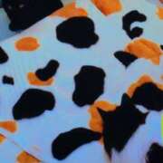 ヒメ日記 2025/10/18 07:48 投稿 さつき 熟女の風俗最終章 沼津店