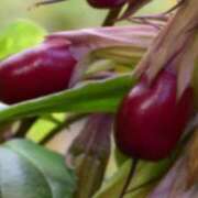 ヒメ日記 2025/10/21 08:03 投稿 さつき 熟女の風俗最終章 沼津店