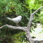 ヒメ日記 2025/10/21 13:59 投稿 さつき 熟女の風俗最終章 沼津店