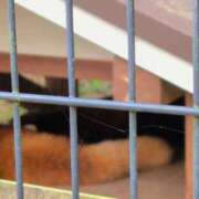 ヒメ日記 2025/10/23 13:08 投稿 さつき 熟女の風俗最終章 沼津店