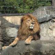 ヒメ日記 2025/10/23 13:28 投稿 さつき 熟女の風俗最終章 沼津店