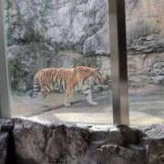 ヒメ日記 2025/10/23 13:48 投稿 さつき 熟女の風俗最終章 沼津店