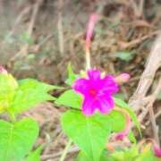 ヒメ日記 2025/10/27 10:08 投稿 さつき 熟女の風俗最終章 沼津店