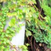 ヒメ日記 2025/10/28 07:19 投稿 さつき 熟女の風俗最終章 沼津店