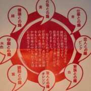 ヒメ日記 2025/10/30 15:43 投稿 さつき 熟女の風俗最終章 沼津店