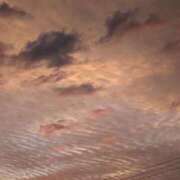 ヒメ日記 2025/10/31 06:26 投稿 さつき 熟女の風俗最終章 沼津店