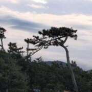 ヒメ日記 2025/11/06 07:44 投稿 さつき 熟女の風俗最終章 沼津店