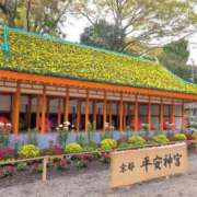 ヒメ日記 2025/11/06 12:10 投稿 さつき 熟女の風俗最終章 沼津店