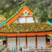 ヒメ日記 2025/11/06 13:28 投稿 さつき 熟女の風俗最終章 沼津店