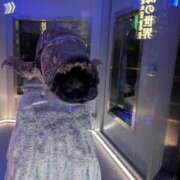 ヒメ日記 2025/11/11 10:58 投稿 さつき 熟女の風俗最終章 沼津店