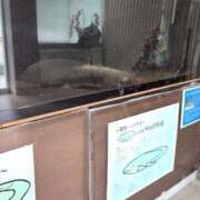 ヒメ日記 2025/11/13 11:58 投稿 さつき 熟女の風俗最終章 沼津店