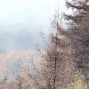 ヒメ日記 2025/11/14 11:48 投稿 さつき 熟女の風俗最終章 沼津店