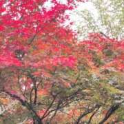 ヒメ日記 2025/11/14 20:08 投稿 さつき 熟女の風俗最終章 沼津店