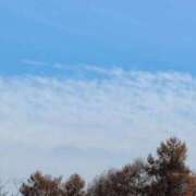 ヒメ日記 2025/11/16 08:48 投稿 さつき 熟女の風俗最終章 沼津店