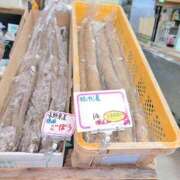 ヒメ日記 2025/11/16 09:59 投稿 さつき 熟女の風俗最終章 沼津店