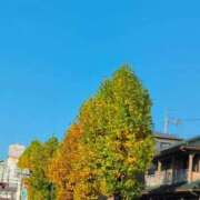 ヒメ日記 2025/11/17 10:18 投稿 さつき 熟女の風俗最終章 沼津店