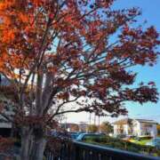 ヒメ日記 2025/11/17 18:38 投稿 さつき 熟女の風俗最終章 沼津店