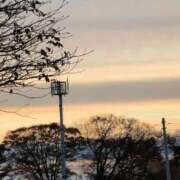 ヒメ日記 2025/11/18 07:48 投稿 さつき 熟女の風俗最終章 沼津店