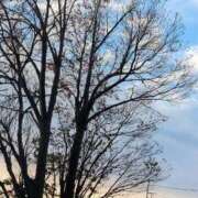 ヒメ日記 2025/11/18 08:02 投稿 さつき 熟女の風俗最終章 沼津店