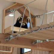 ヒメ日記 2025/11/19 11:46 投稿 さつき 熟女の風俗最終章 沼津店