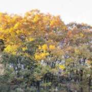 ヒメ日記 2025/11/22 09:38 投稿 さつき 熟女の風俗最終章 沼津店