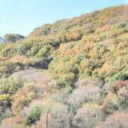 ヒメ日記 2025/11/23 11:48 投稿 さつき 熟女の風俗最終章 沼津店