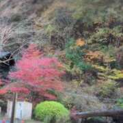 ヒメ日記 2025/11/23 18:21 投稿 さつき 熟女の風俗最終章 沼津店