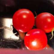 ヒメ日記 2025/11/23 18:39 投稿 さつき 熟女の風俗最終章 沼津店