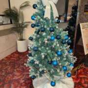 ヒメ日記 2025/11/24 15:28 投稿 さつき 熟女の風俗最終章 沼津店