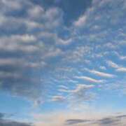 ヒメ日記 2025/11/25 07:18 投稿 さつき 熟女の風俗最終章 沼津店